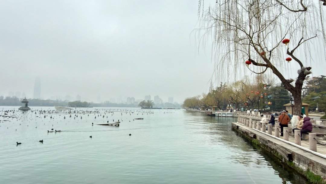 清风柳绿，春到大明湖