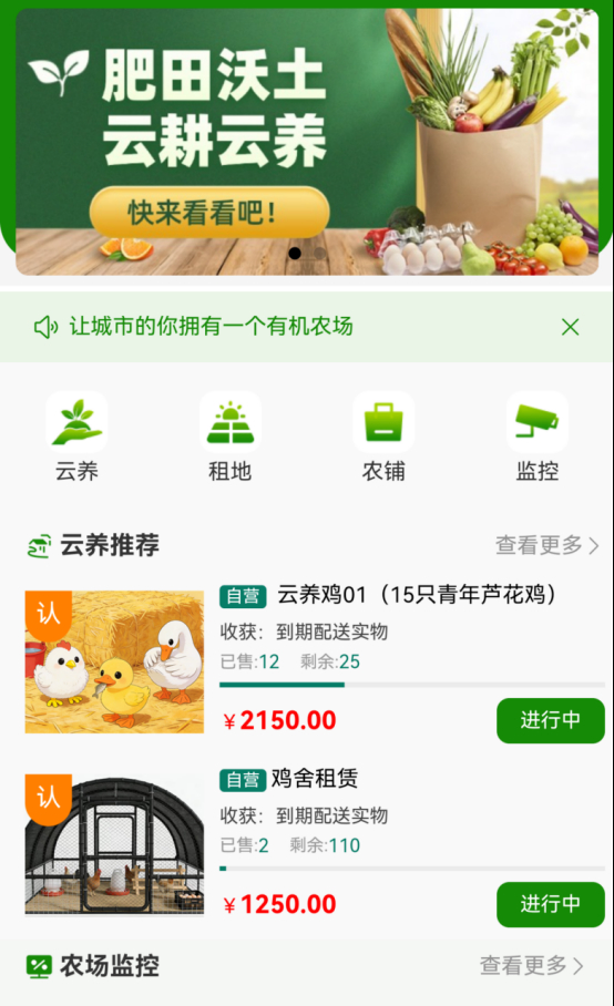 融媒·见证丨新农人的奇思妙想，促成乡村与城市的双向奔赴——我在城里“云”种田