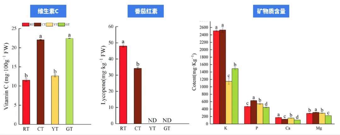 “天选减肥果”竟是它！低卡高纤还美味 多吃不怕胖