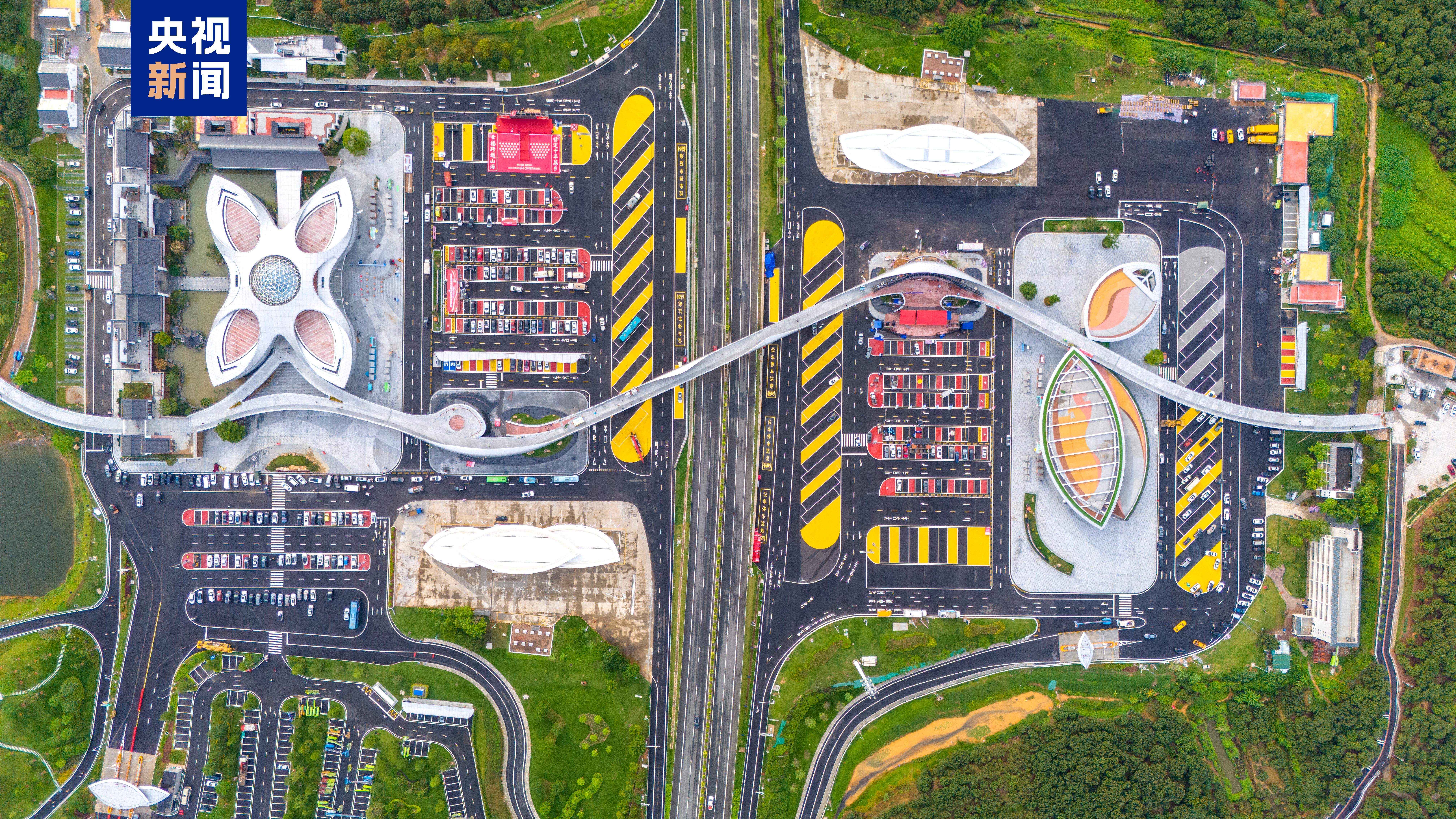 从“一骑红尘”到“一键下单” 岭南荔枝来了