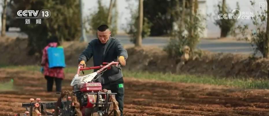 科技赋能农业生产 “良种+托管”夯实粮食丰收基础