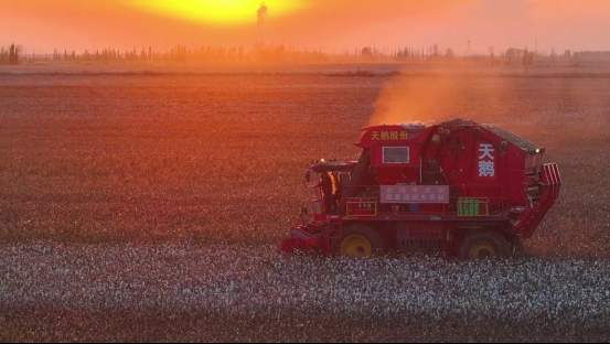 融媒·先锋｜济南智造，补上中国棉业关键一环——天山脚下，天鹅飞来