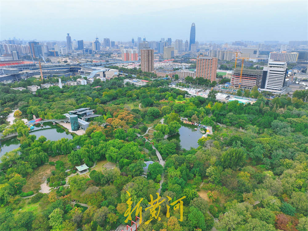 泉城公园进入最佳观赏季，空中俯瞰五彩斑斓处处皆景