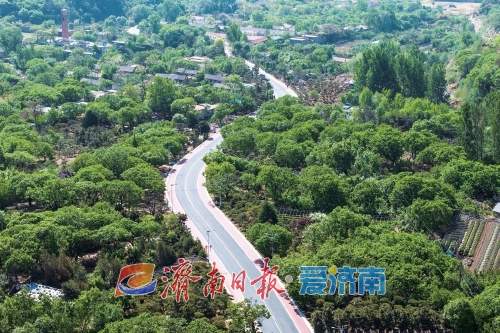 济泰一体山水一路 S103旅游公路风姿尽显