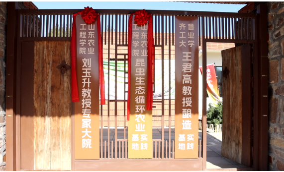 融媒·见证丨种得出好菜，治得了污染，兴得起经济——小虫子撬动大产业