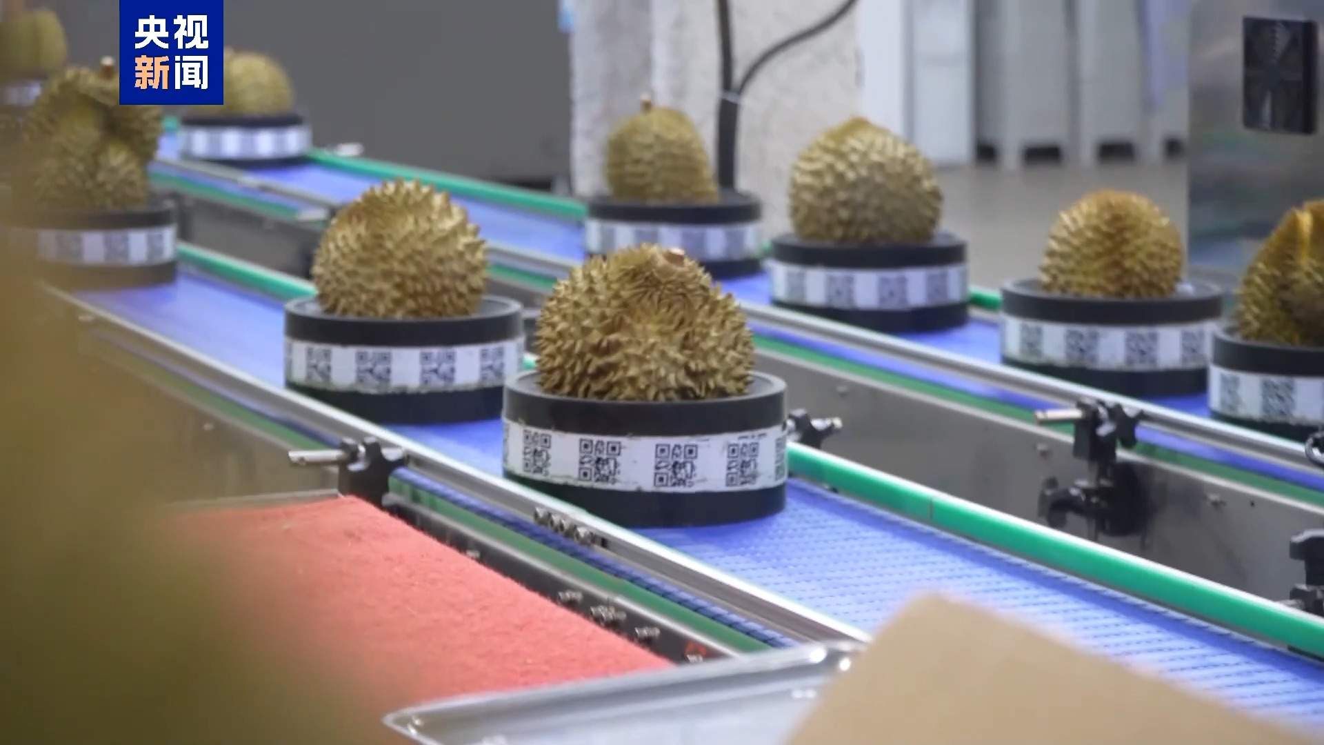 十月还能吃上鲜西瓜？一张物流网让百姓月月吃新瓜