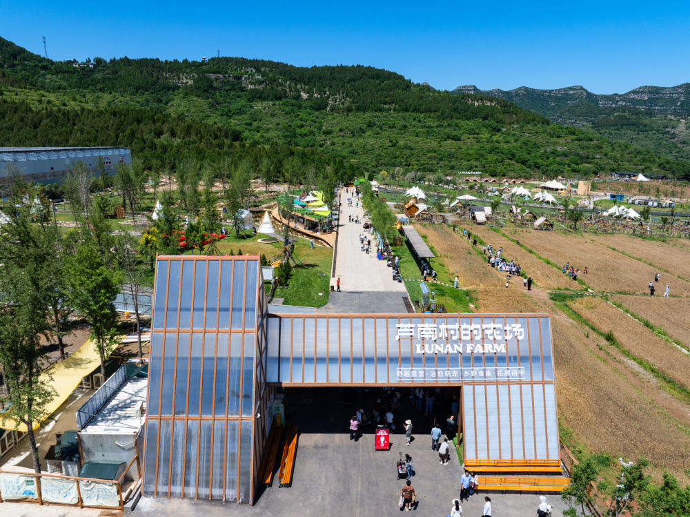 新华社报道山东济南芦南村党支部：绿水青山造就振兴路