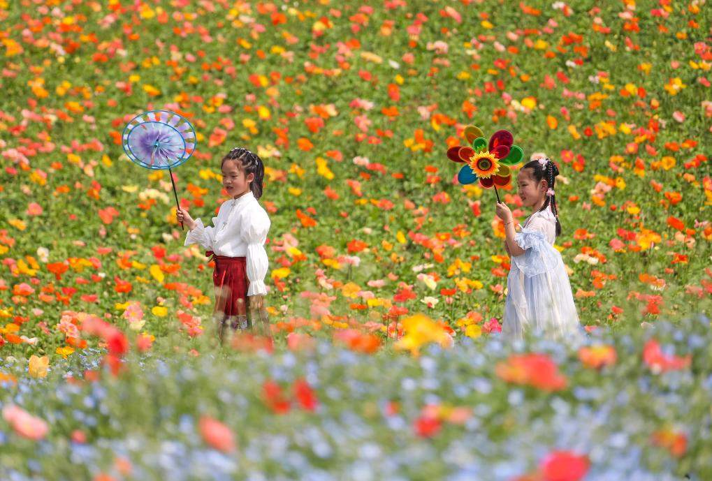 以春为媒 暖意涌动——盘点清明假日消费新亮点