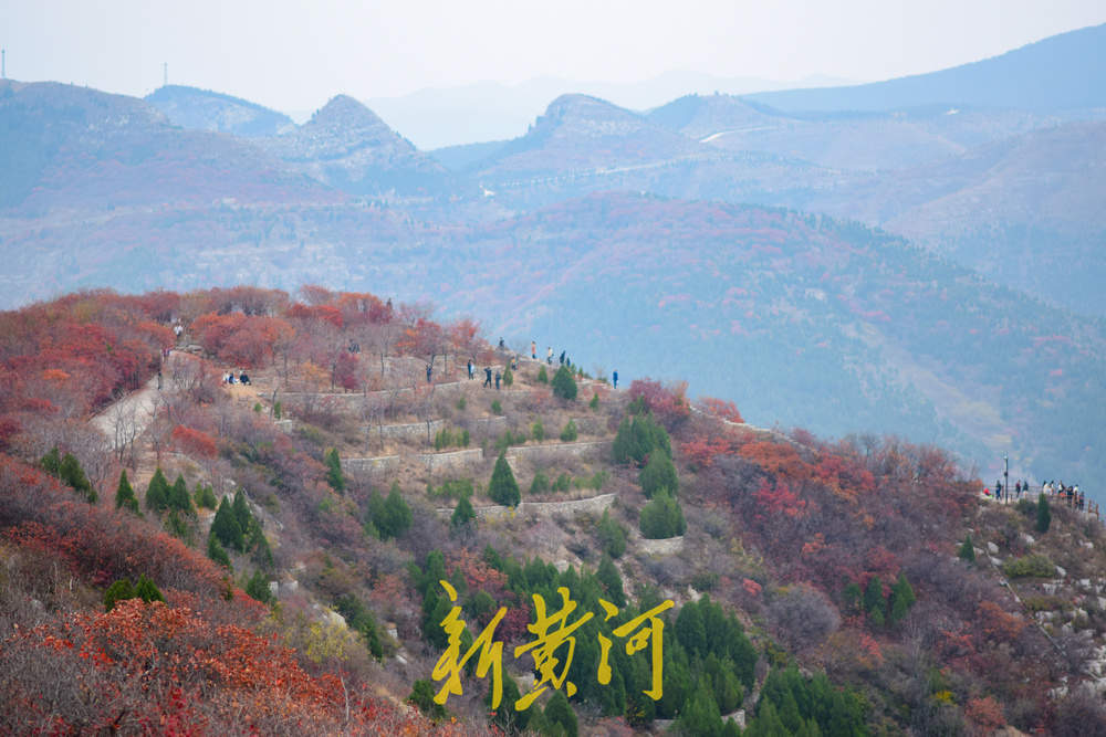 初冬时节红叶漫山，市民纷纷登山赏叶