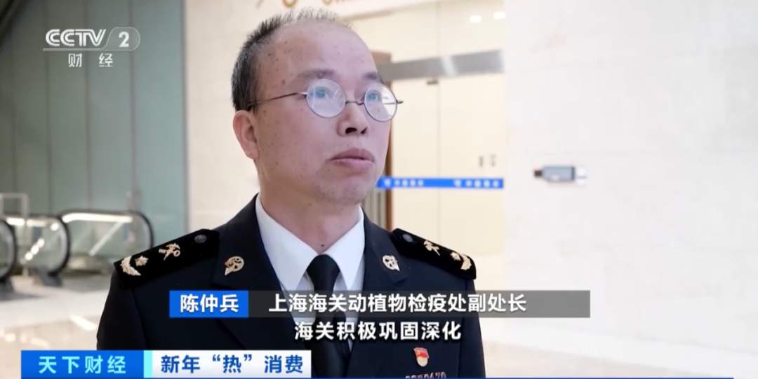 36万吨！智利超90%出口车厘子，都来了！