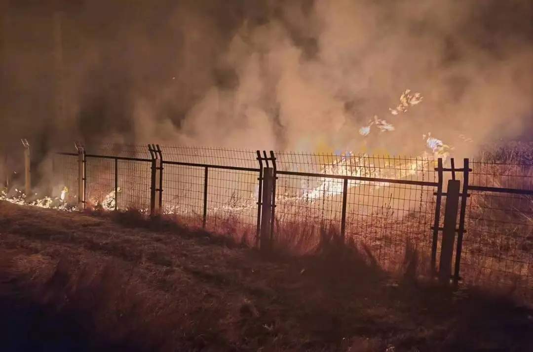 烧荒引起火灾逼停列车，行拘！