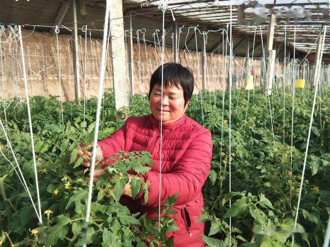 奋进在泉城沃野 奏响乡村振兴强音——深入学习贯彻习近平总书记视察山东重要讲话精神