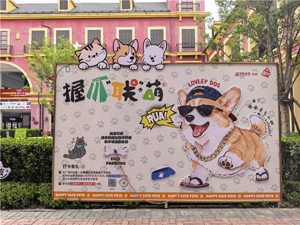 民生民声丨餐盘喂狗风波背后——文明养宠的“破”与“立”