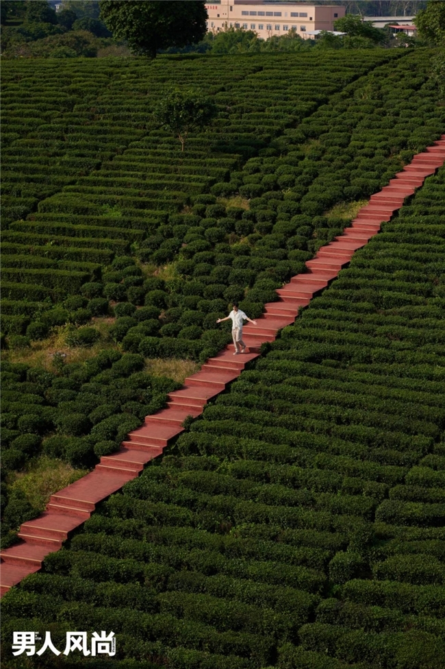 归赴故土山水间，钟汉良惠州归途大片释出，以松弛心境对话故乡人文