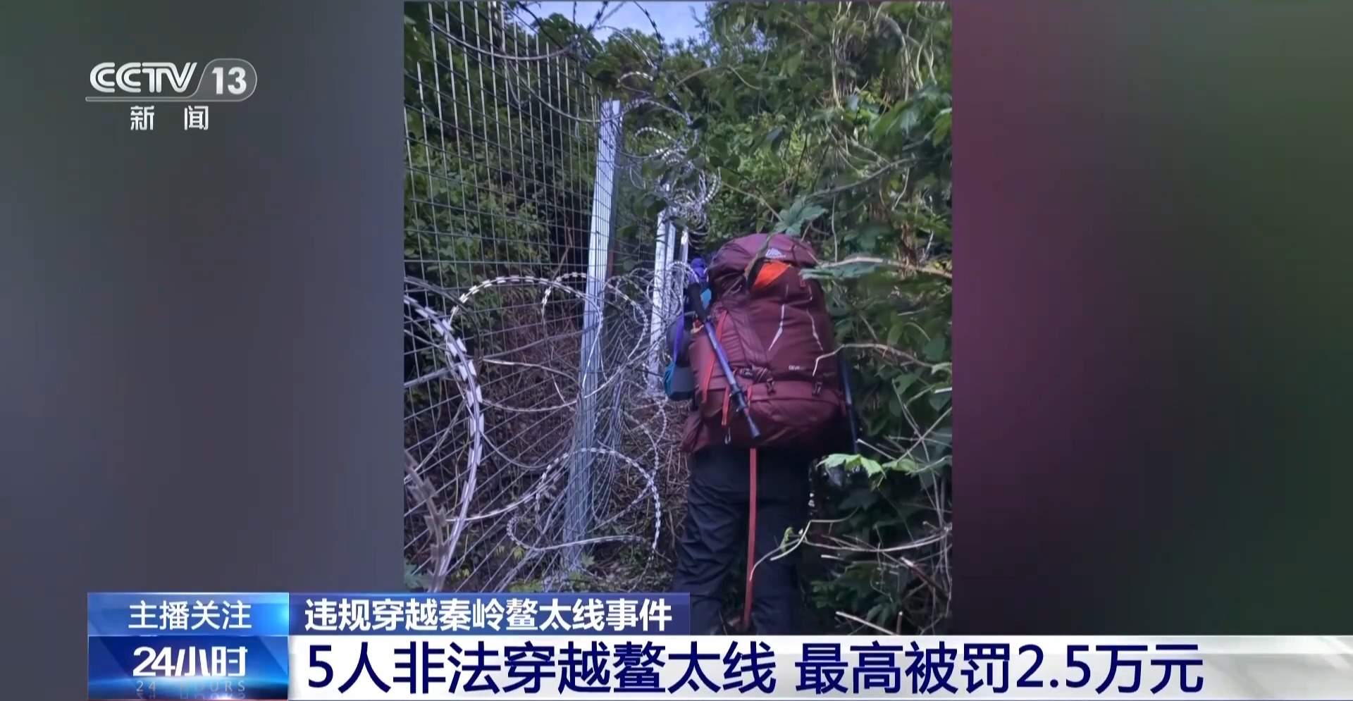 删证据躲追查 5人非法穿越鳌太线最高被罚2.5万元