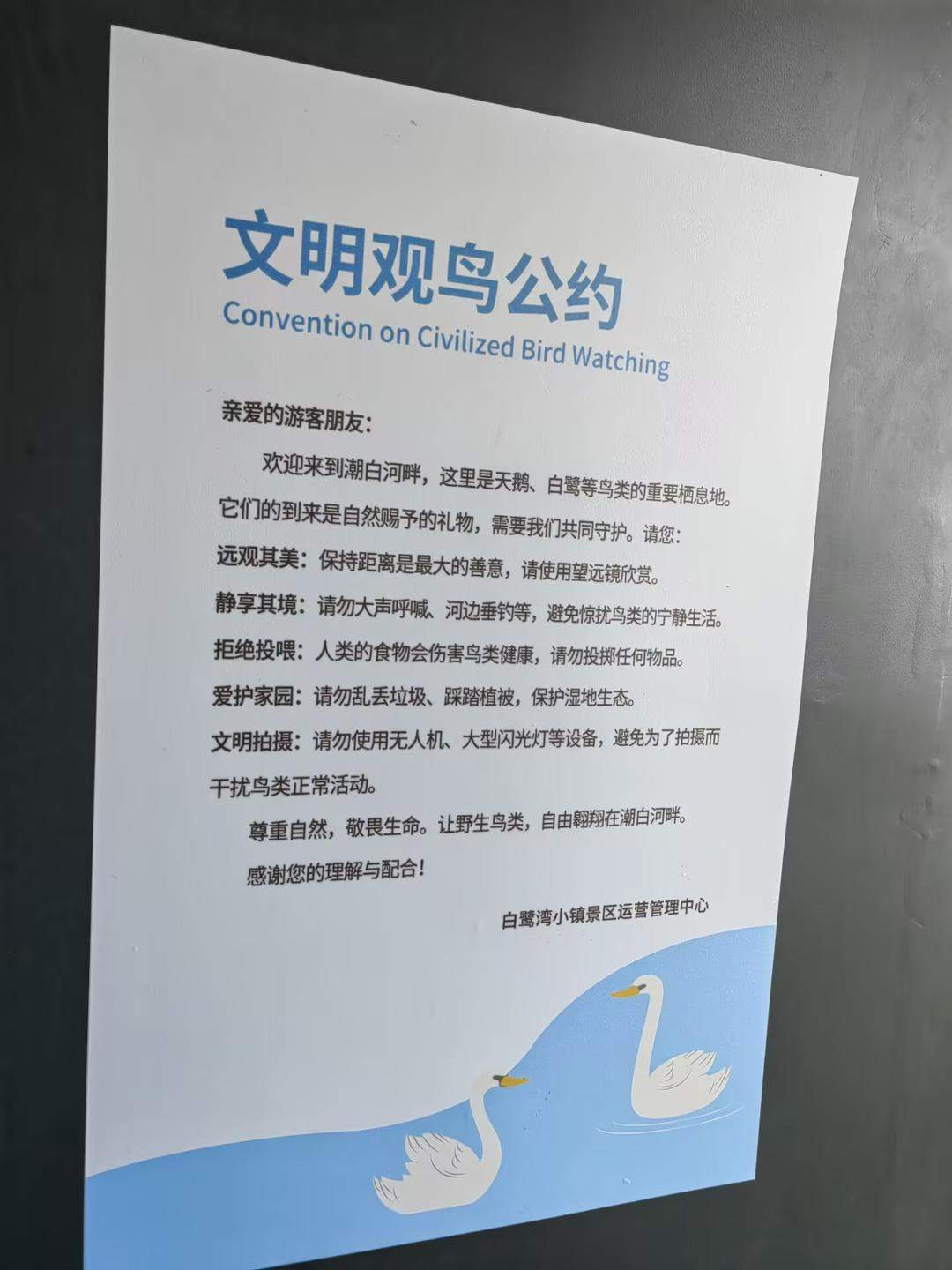 日照这个艺术地标有个“不飞无人机”的约定