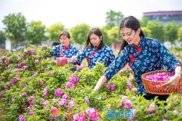 趵眼｜济南市委书记率团去“塞铁”了！