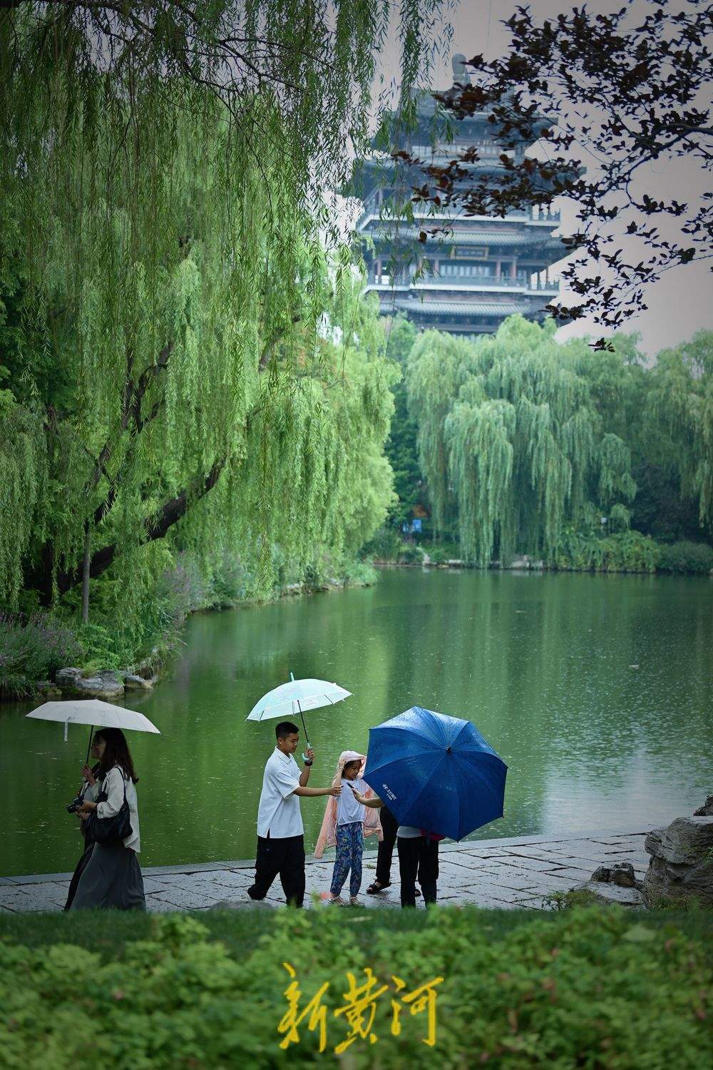 雨中漫步大明湖，秒入江南