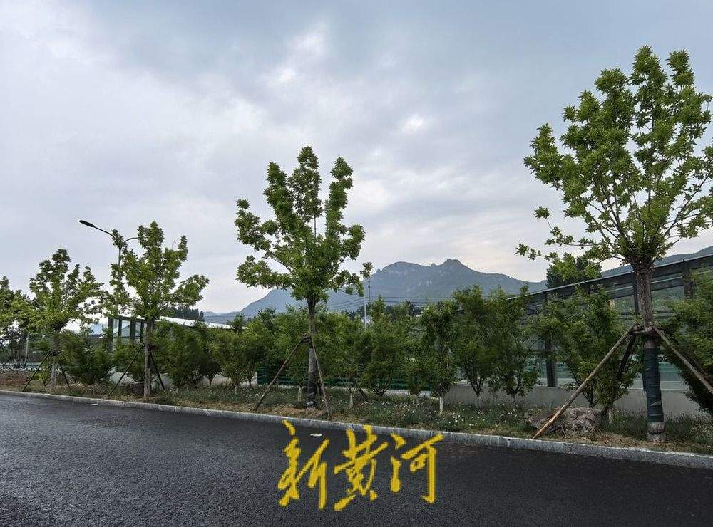 最新预报！济南南部山区已迎来降雨