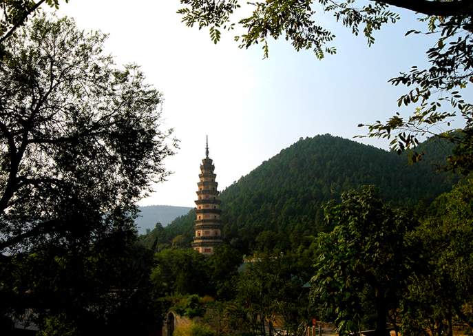 悠然南山秋意浓