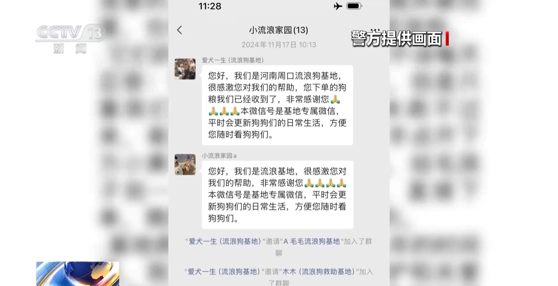 骗250万善款仅3000元用在狗身上 起底流浪动物网络救助骗局