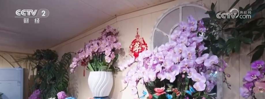 年宵花市开启“抢购模式” 小众品种成“当家花旦”购销两旺