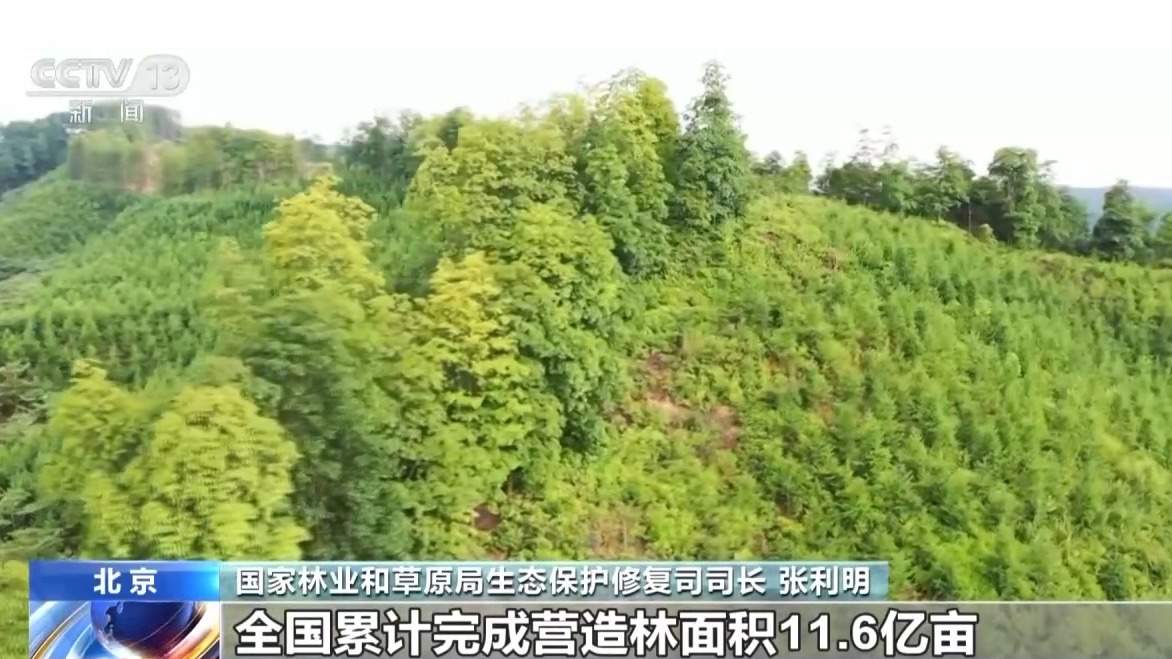 去年完成国土绿化任务超1亿亩 中国成为全球增绿最快最多国家