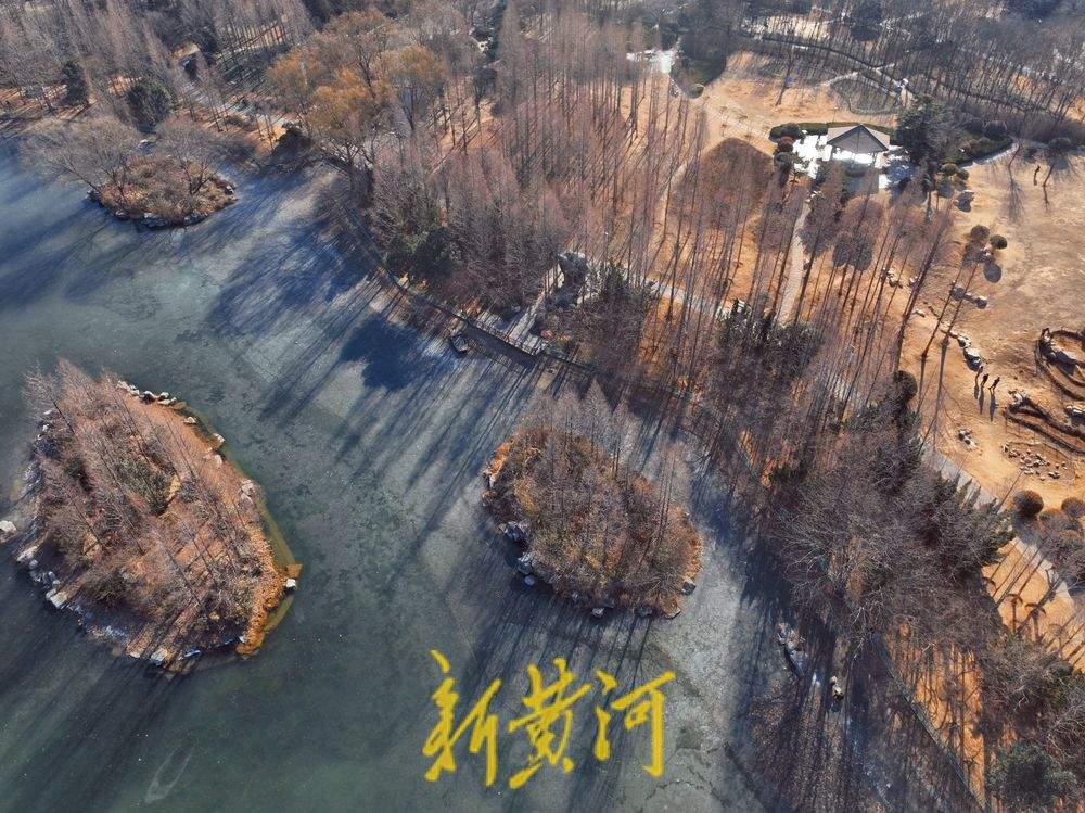 “泉”在济南冬游记｜济南森林公园冬䪨如诗