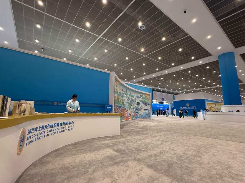 上合天津峰会22米巨幅壁画火出圈，这些中外元素你认出几个？