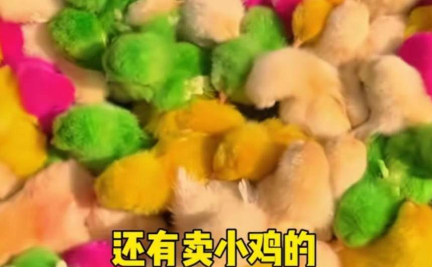 莫言:我在故乡赶大集