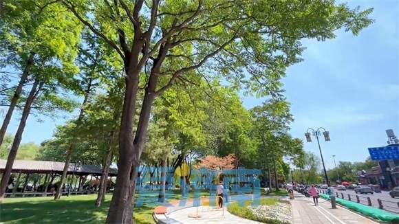 大明湖持续改造新绿道，遐园与文庙同框