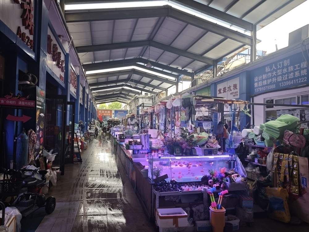 开业21年，济南一水族广场被传将闭市