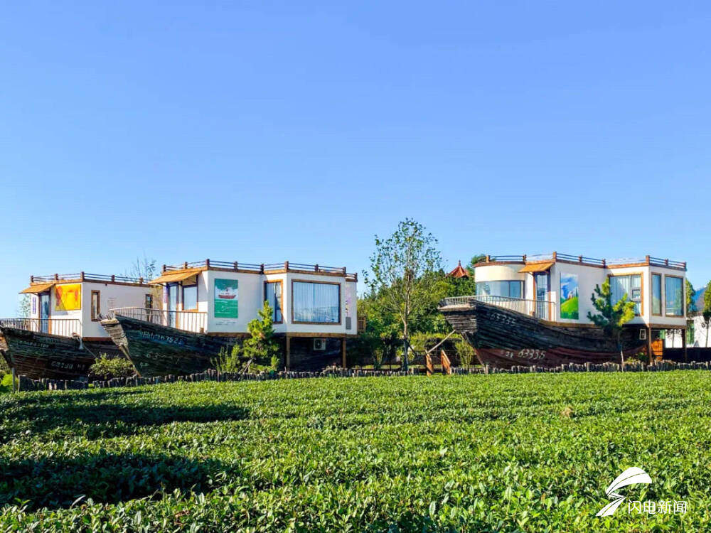 在日照,品一杯听海长大的茶|青春思政课