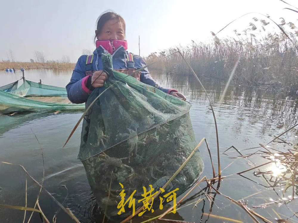 临近中秋螃蟹开始大卖，梭子蟹价格最高已达160元/斤