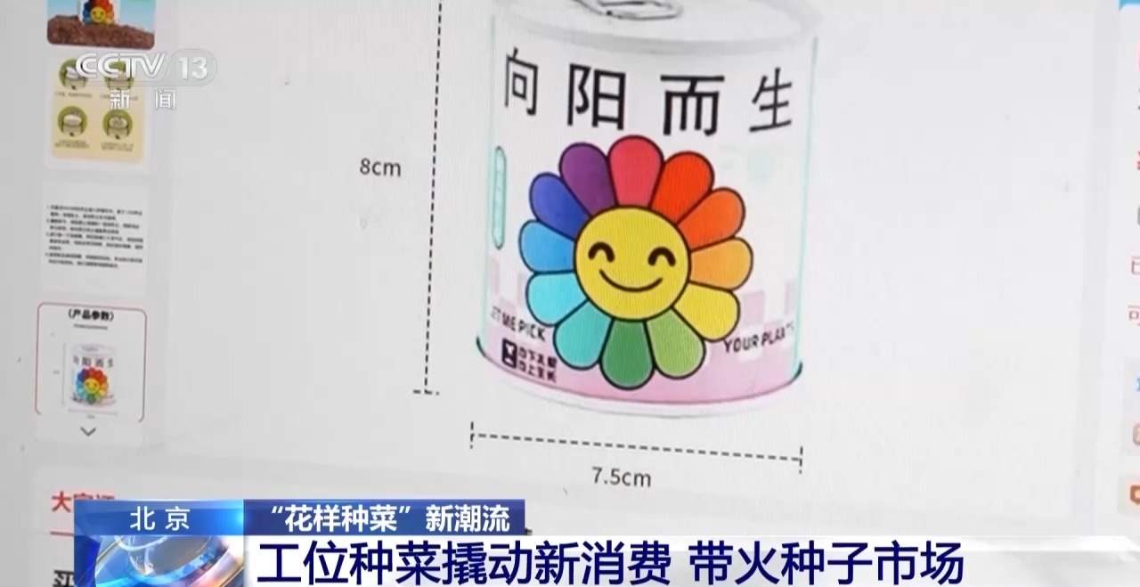 “工位种菜”走红 蔬菜盆栽成了“上班搭子”