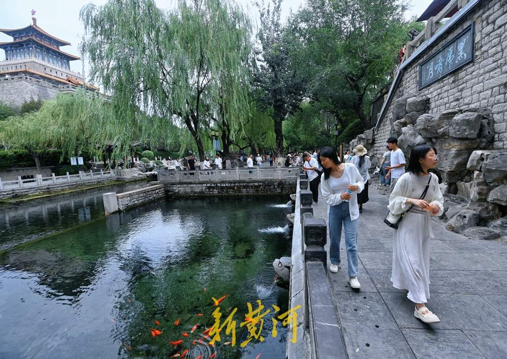 雨后泉城水位上升，黑虎泉喷涌势头明显见长