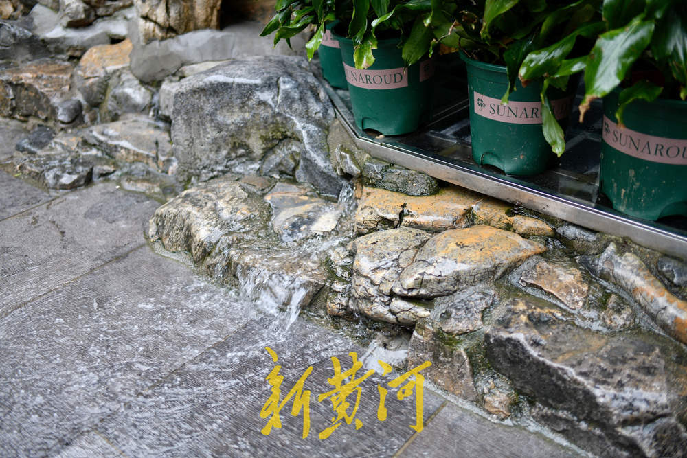 地下水位连涨，泉水漫出泉洞 ，现黑虎泉版“清泉石上流”