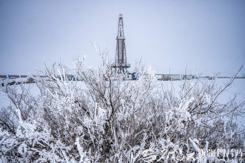 “磨刀石里榨油”的戈壁传奇