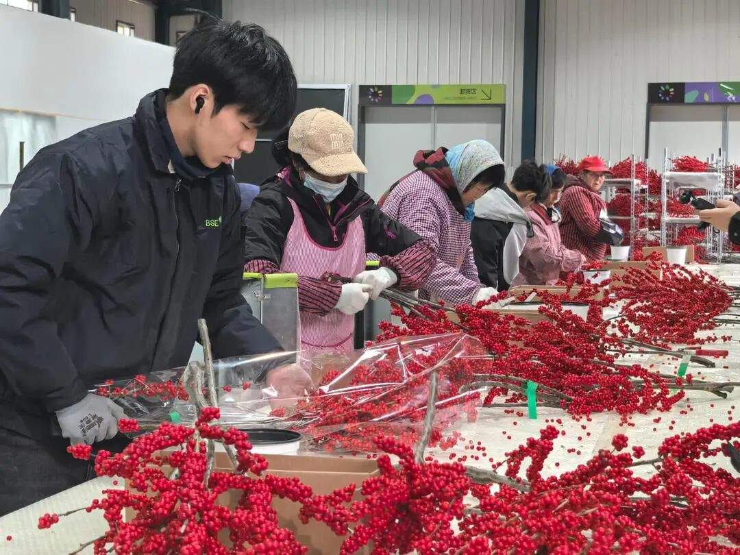 省情研究所|片区化推进乡村振兴的山东实践:从“连片”向“深融”