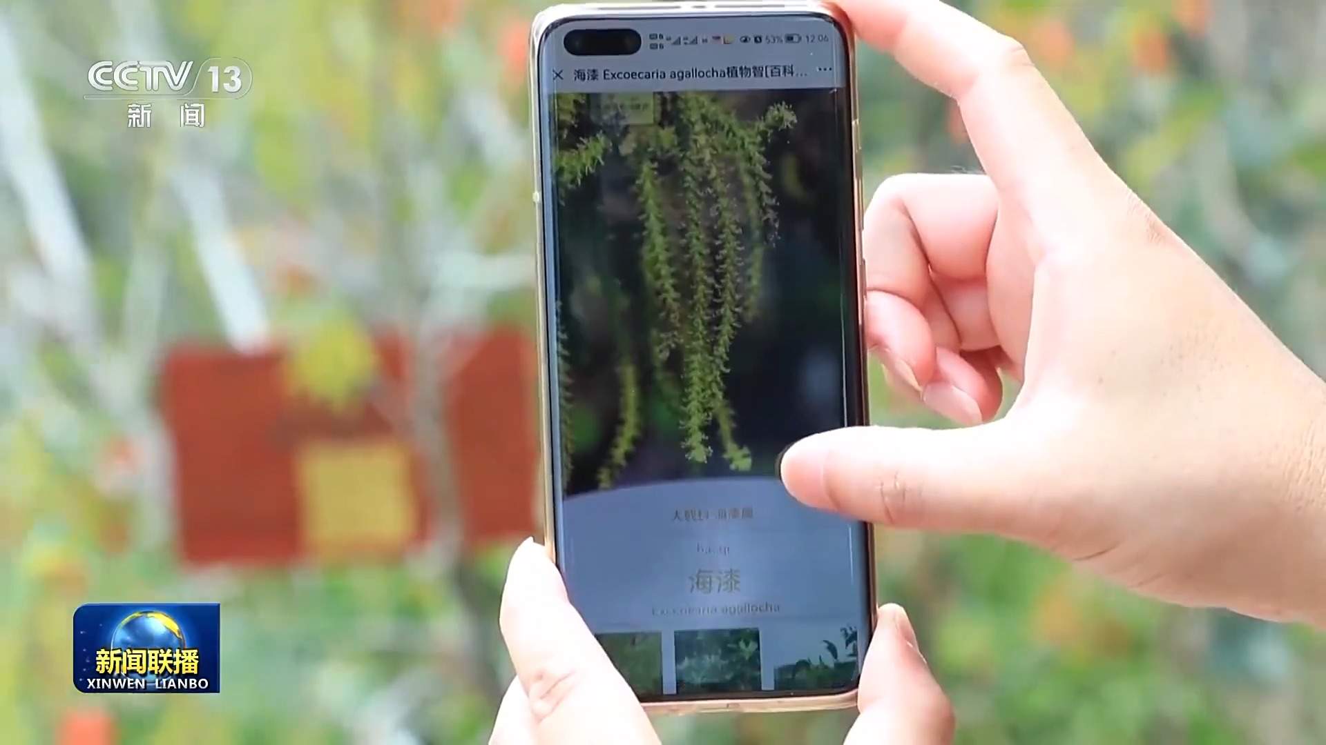 新思想引领新征程丨守护大美湿地 建设美丽中国