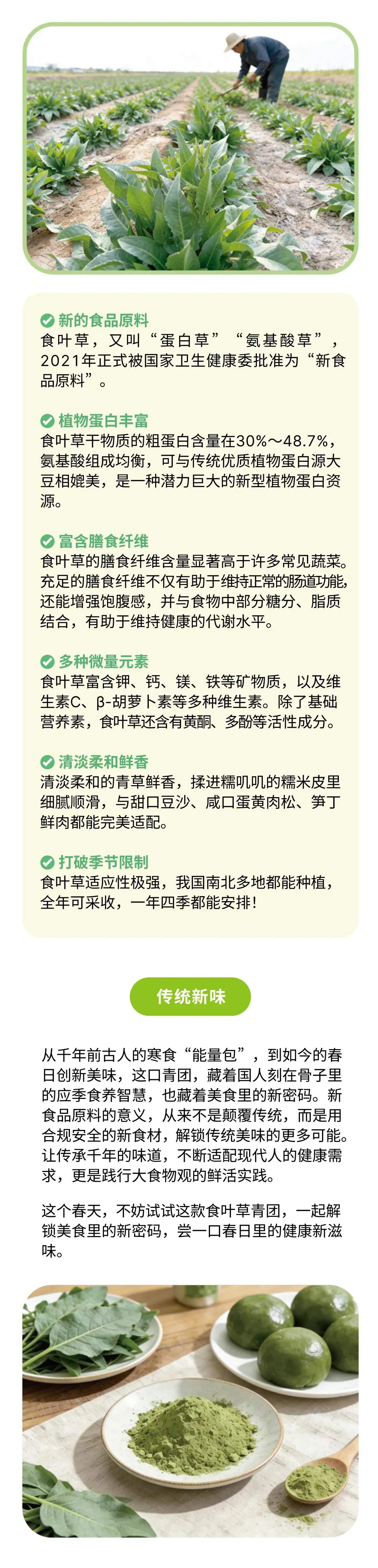 清明食青团，健康享春意 