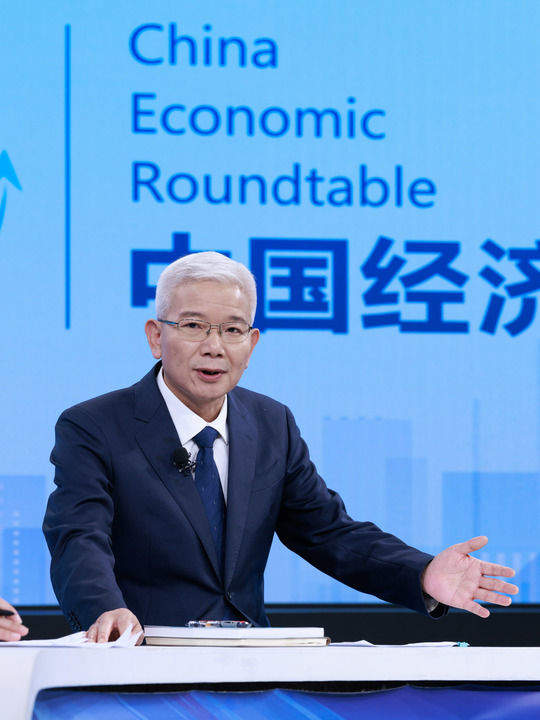 “中国经济圆桌会”共话三峡水运新通道