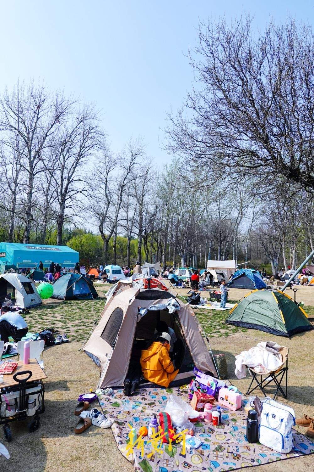 暖阳高照春意满，济南森林公园变身“帐篷乐园”