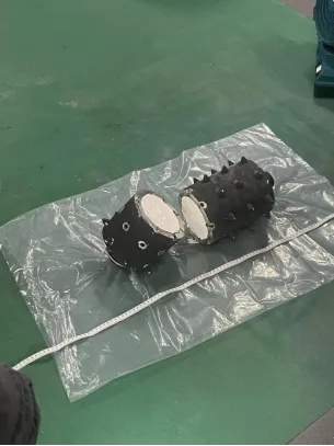 在校大学生被判刑！警方披露详情