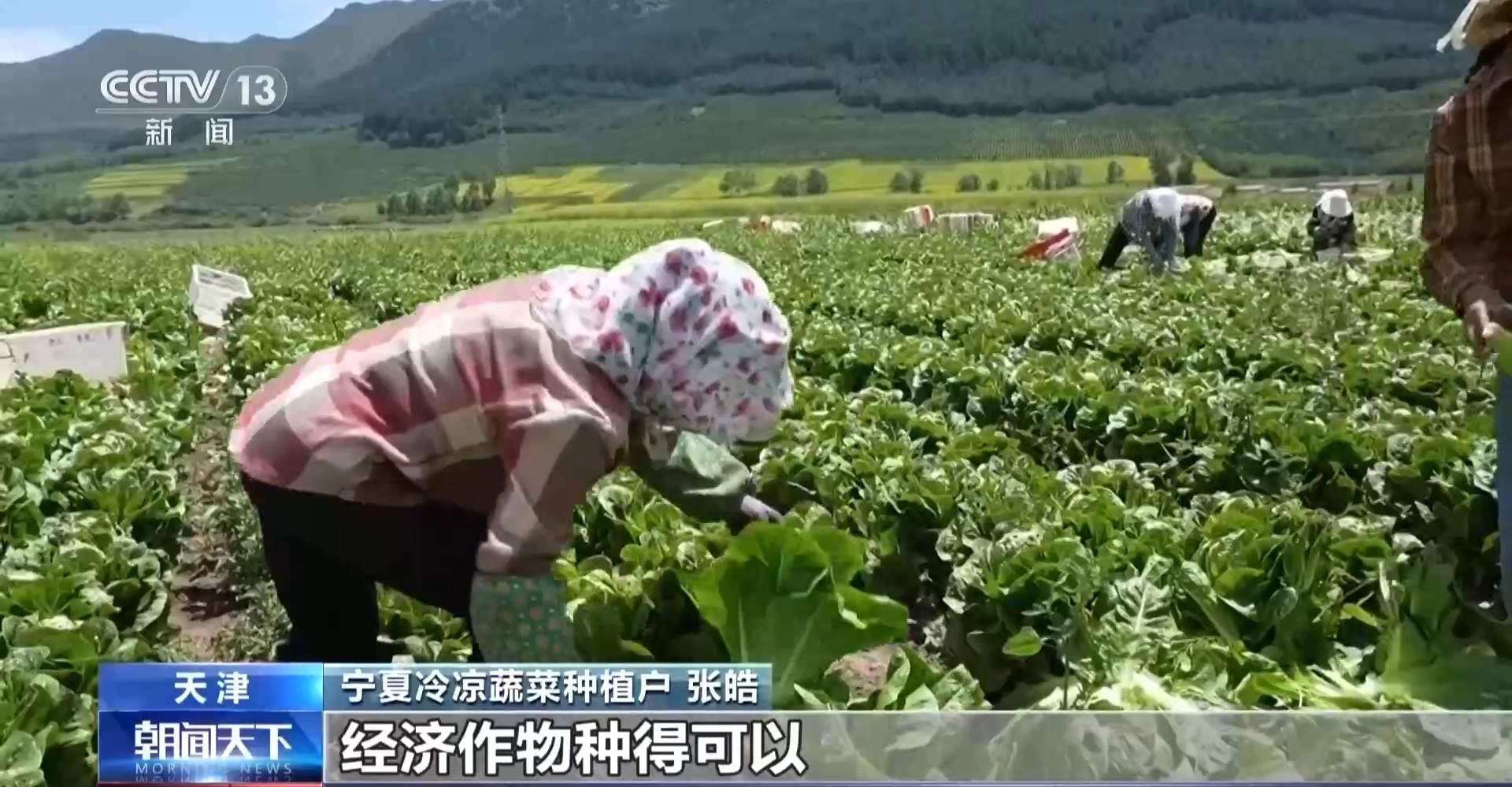 新型农机不断上新 产品方向正被改写