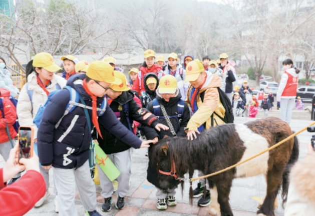 健康当道 骐骥驰骋！马年“开学第一课”，含“马”量十足