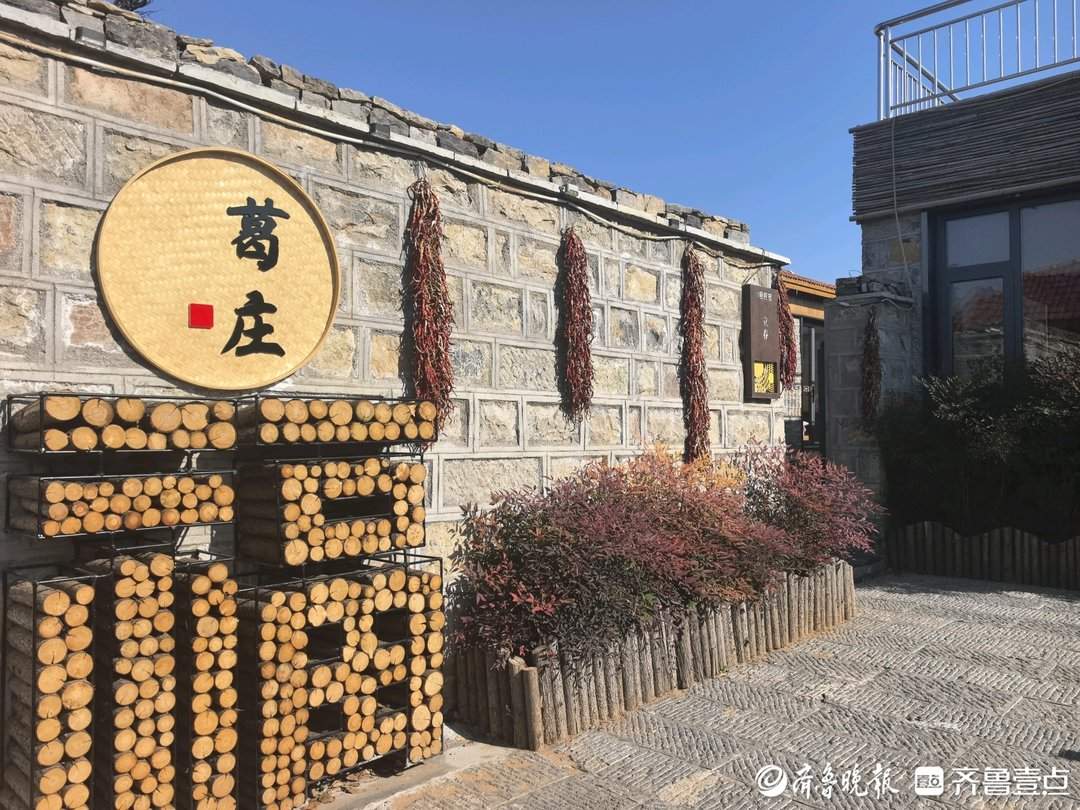 山东破题片区化:乡村“手拉手” 共富路“步步宽”