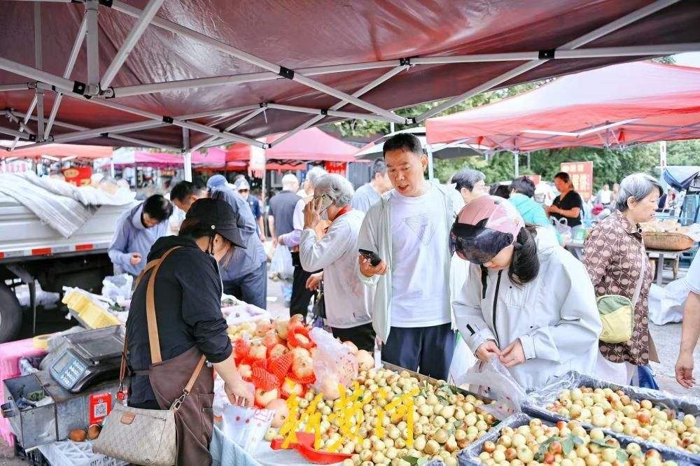秋风添凉意，济南山水大集烟火旺