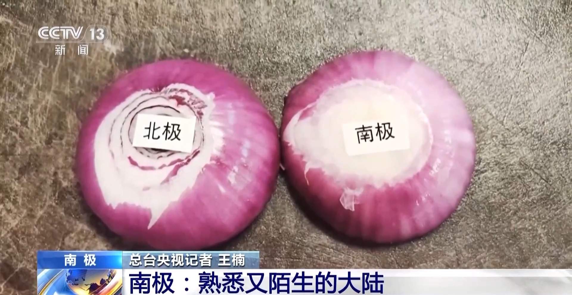 南极北极哪个更冷?去秦岭站了解极地的秘密