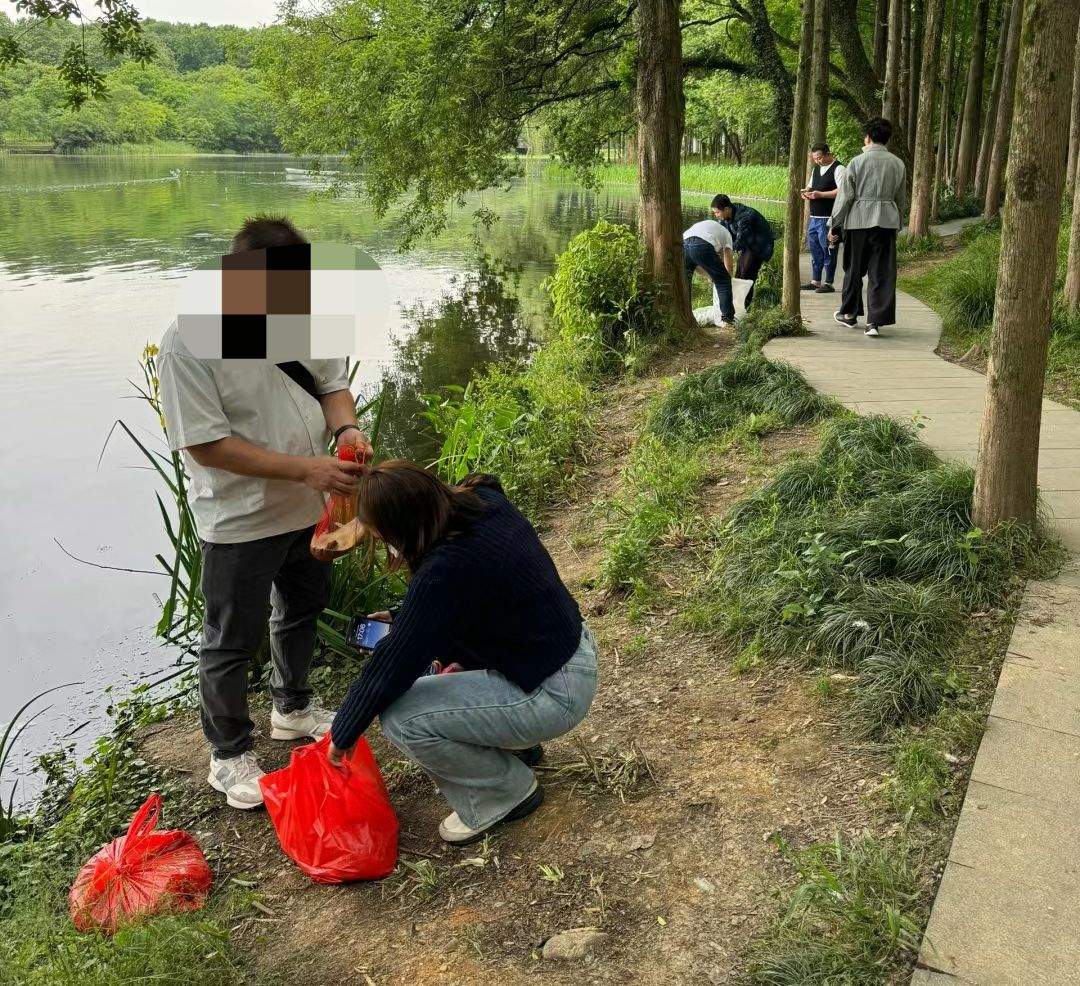 杭州西湖有人组团往水里放生甲鱼等外来物种？景区管委会：属实，他们避开了监控